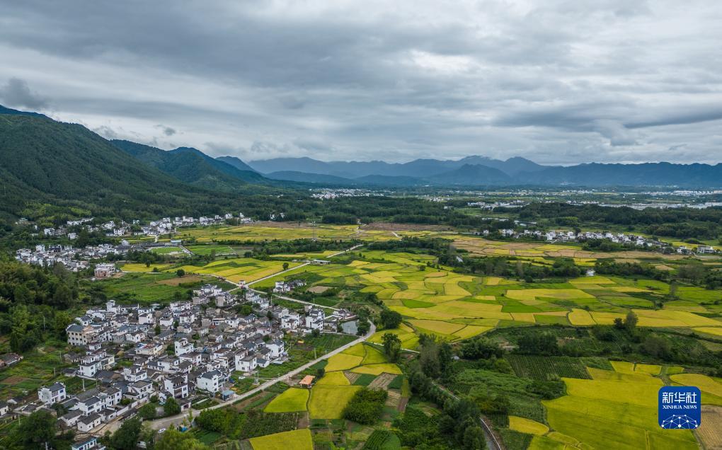 澳门新银河游戏